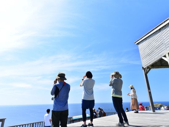 父島ウォーキングツアー　ベテランガイドが小笠原の自然と歴史をご案内　 三日月山周辺散策ツアー＜現地集合・ホテル送迎可／小笠原諸島・父島発＞by ボニンブルーシマ