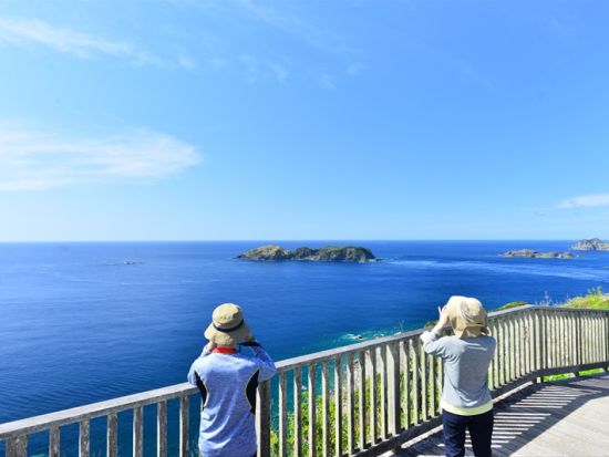 父島ウォーキングツアー　ベテランガイドが小笠原の自然と歴史をご案内　 三日月山周辺散策ツアー＜現地集合・ホテル送迎可／小笠原諸島・父島発＞by ボニンブルーシマ