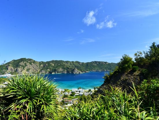 父島ウォーキングツアー　ベテランガイドが小笠原の自然と歴史をご案内　 三日月山周辺散策ツアー＜現地集合・ホテル送迎可／小笠原諸島・父島発＞by ボニンブルーシマ