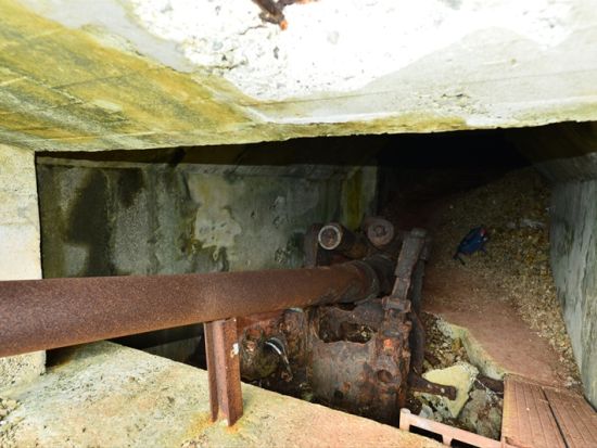 父島戦跡ツアー　小笠原在住30年以上のガイドがご案内！夜明山戦跡に残る壕や砲台を巡る＜午前・午後／現地集合・ホテル送迎／小笠原諸島・父島発＞byボニンブルーシマ