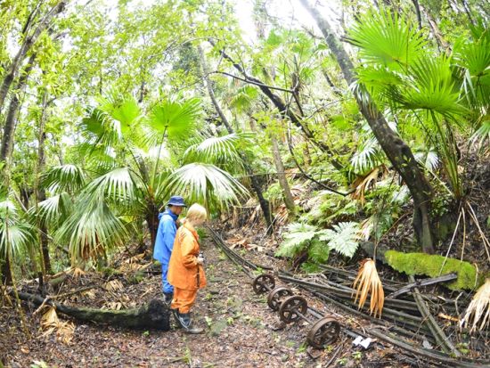 父島戦跡ツアー　小笠原在住30年以上のガイドがご案内！夜明山戦跡に残る壕や砲台を巡る＜午前・午後／現地集合・ホテル送迎／小笠原諸島・父島発＞byボニンブルーシマ