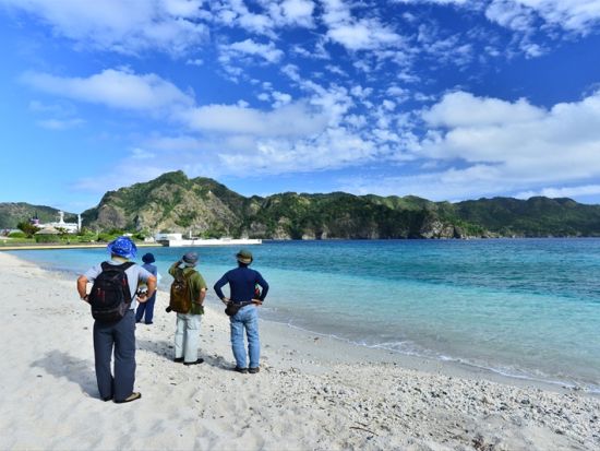 父島プライベート観光　トレッキングや戦跡巡りなど自由にアレンジ可能！ベテランガイドがご案内＜貸切／半日または1日／小笠原諸島・父島発＞by ボニンブルーシマ