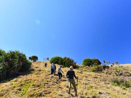 父島プライベート観光　トレッキングや戦跡巡りなど自由にアレンジ可能！ベテランガイドがご案内＜貸切／半日または1日／小笠原諸島・父島発＞by ボニンブルーシマ