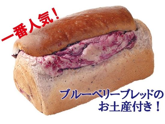 PENNYRAIN_bluberrybred_moji_735_480