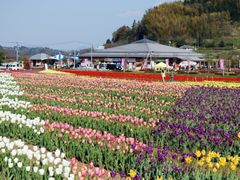Library_551_image