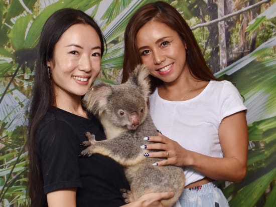 ケアンズ・コアラズ＆クリーチャーズ　ケアンズで最も手軽にできるコアラ抱っこ写真