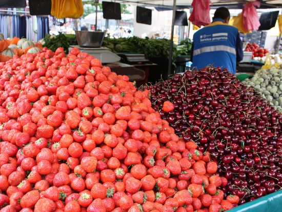 Marche・ｿLyon・ｿpixta_1271745_M