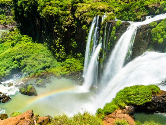 【混載】世界遺産イグアスの滝を制覇！アルゼンチン＆ブラジル2ヵ国ツアー＜1日／英語ガイド／ホテル往復送迎／ブラジル発着＞