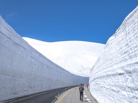 北アルプス立山雪の大谷へ行く日帰りバスツアー！ たっぷり4時間半フリータイム＜5月4日、18日／金沢発着＞