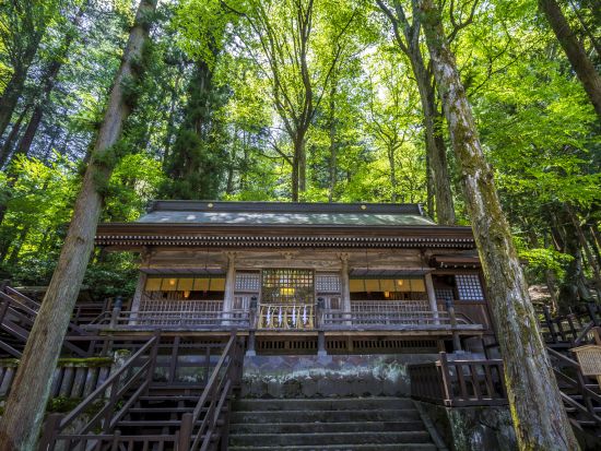 神秘のパワースポット巡り！諏訪大社＋守屋神社を巡る旅＜3時間／選べる出発時間／貸切／諏訪市発＞