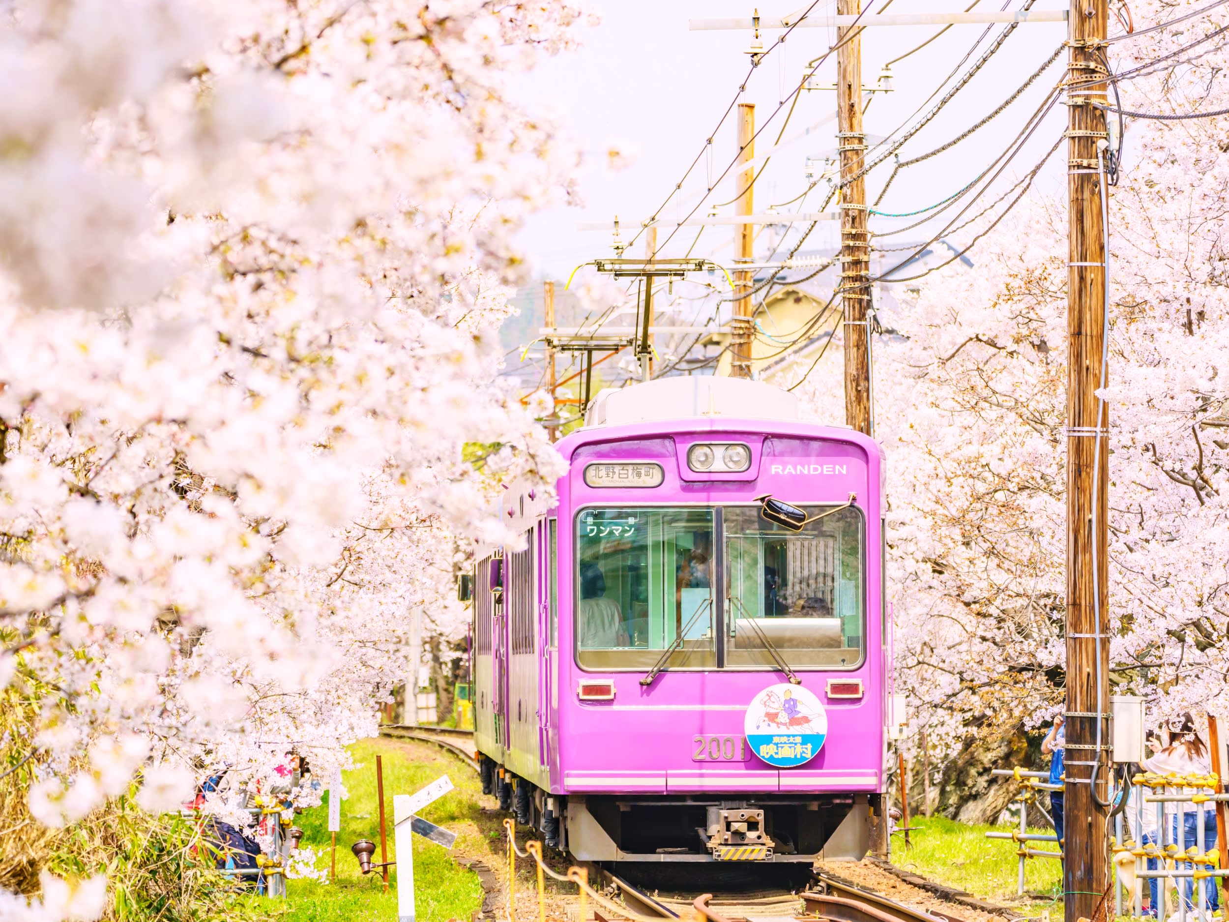 鉄道写真 大宮駅であえるトレインたち 【激安】 - 芸術写真