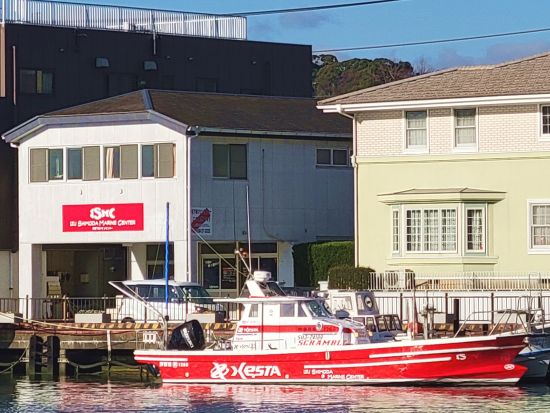 下田で開放感抜群のデイクルージング！1＜12:00出航／40分／下田＞