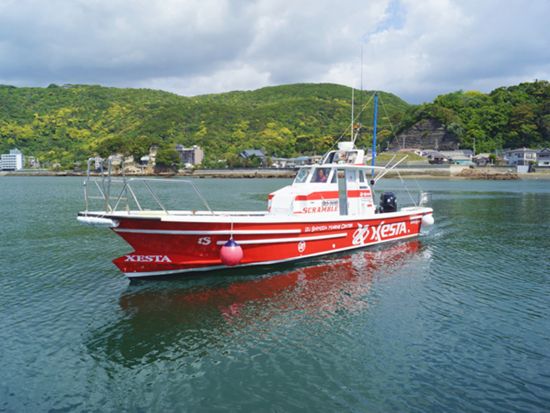 下田で開放感抜群のデイクルージング！1＜12:00出航／40分／下田＞