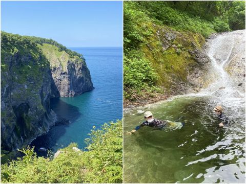 知床絶景トレッキングツアー＆最後の秘境 カムイワッカ湯の滝シャワークライミング（沢登り） 2つの人気アクティビティを1日で満喫！＜7～9月／斜里町＞