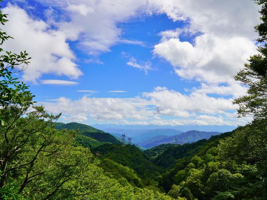 自然案内人協会5