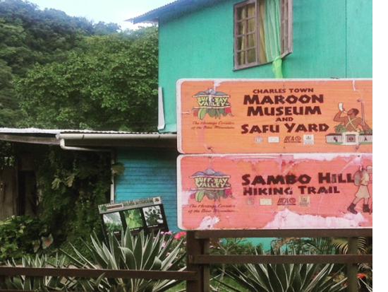 カリブ海で海水浴♪マルーン博物館とポートアントニオツアー＜日本語ガイド／オーチョリオス発＞