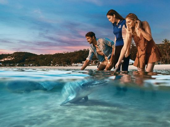 モートン島宿泊観光ツアー　イルカ餌付け体験＋ジュゴン探訪クルーズ＜2泊3日／日本語ガイドブックあり／タンガルーマアイランドリゾート＞