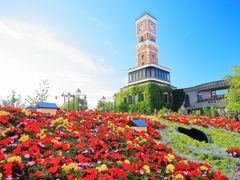 札幌発着日帰りバスツアー　札幌の定番スポットを1日で満喫！白い恋人パーク+定山渓温泉+ビール博物館+場外市場+頭大仏殿+北海道神宮 ＜1名から催行＞の写真