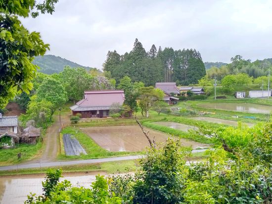外観・景色