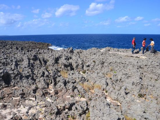 沖永良部島サイクリングツアー　フーチャ（潮吹き洞窟）＋日本一のガジュマル＋笠石海浜公園＋バナナ園など見どころぐるっと空港到着後そのままご案内！