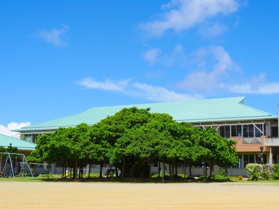 沖永良部島サイクリングツアー　フーチャ（潮吹き洞窟）＋日本一のガジュマル＋笠石海浜公園＋バナナ園など見どころぐるっと空港到着後そのままご案内！