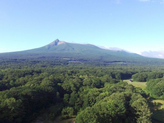 20210507060216_723046646_11178_9