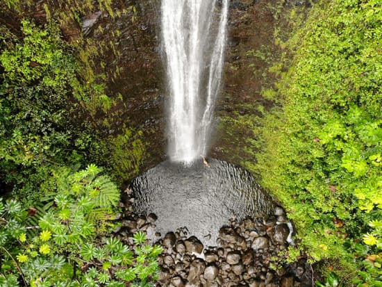 Hawaii_Oahu_Manoa_Waterfall_shutterstock_1351574804 (1)