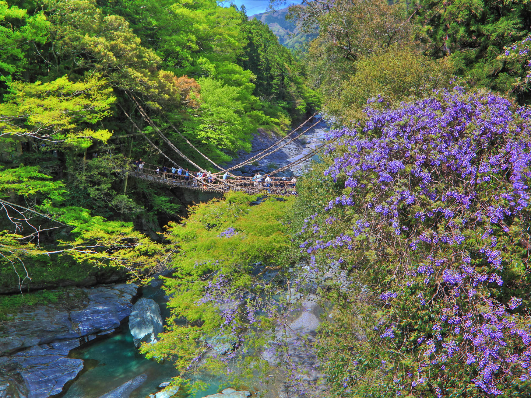 貸切絶景ツアー 祖谷の秘境を巡る！ かずら橋＋祖谷渓ひの字＋琵琶の滝