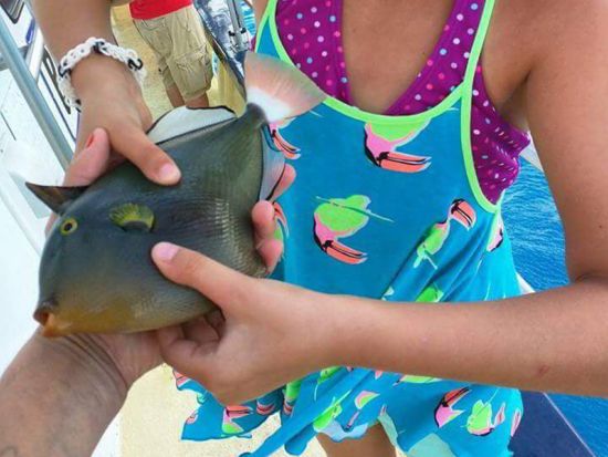 海釣り体験　ワイキキで釣りもクルーズも楽しめる！小さなお子様も参加可能　釣り用具付き＜混載または貸切／3～4時間／ケワロ湾集合＞