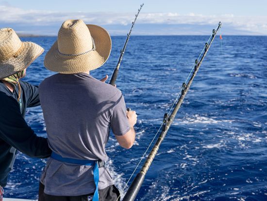 海釣り体験　ワイキキで釣りもクルーズも楽しめる！小さなお子様も参加可能　釣り用具付き＜混載または貸切／3～4時間／ケワロ湾集合＞