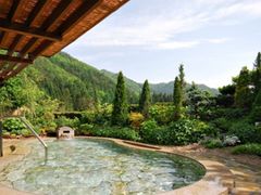 img_490x320_001