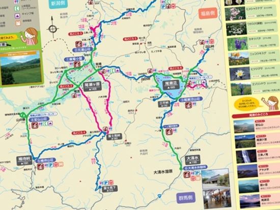 東京発 尾瀬国立公園ハイキングバスツアー 出発地は選べる鳩待峠 日帰りで参加できる朝出発プランまたは滞在時間たっぷりの夜出発プラン＜5～10月＞