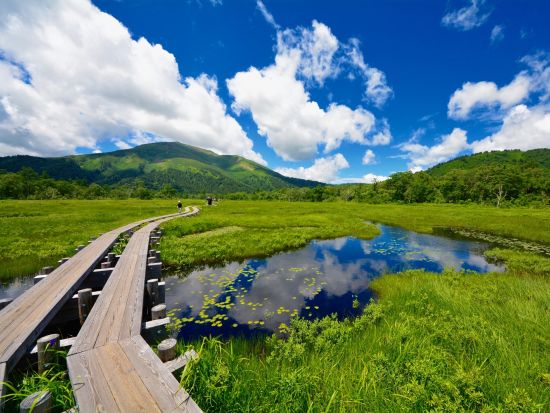東京発 尾瀬国立公園ハイキングバスツアー 出発地は選べる鳩待峠 日帰りで参加できる朝出発プランまたは滞在時間たっぷりの夜出発プラン＜5～10月＞