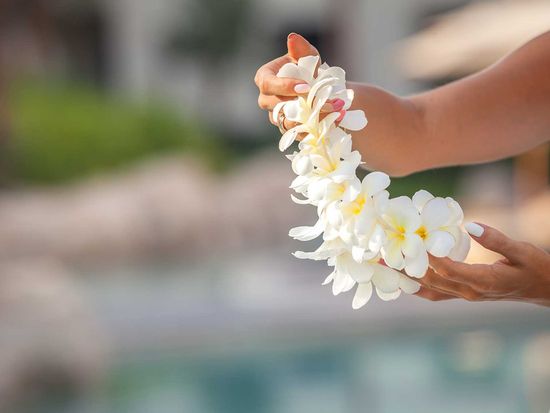 shutterstock_1076733104