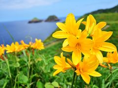 pixta_15592726_M