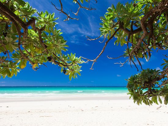 Japan_Miyakojima_Toguchinohama_pixta_66603599_M