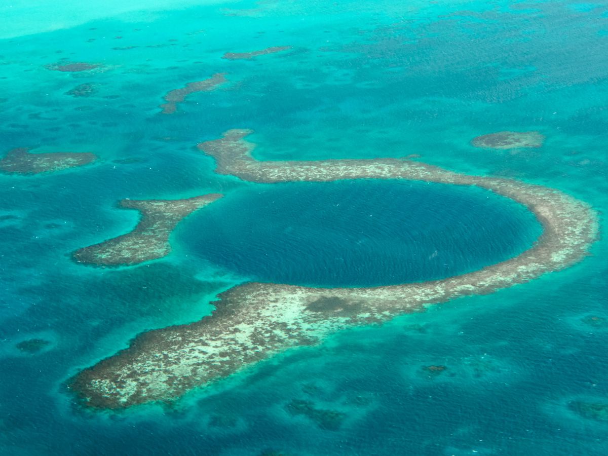 20220407221854_1993036287_1409