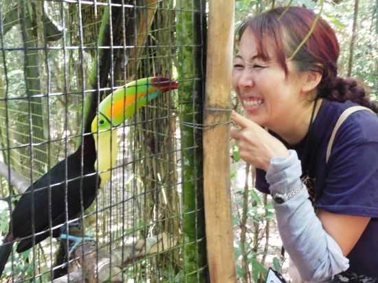 ベリーズ動物園日帰り観光ツアー＜日本語または英語ガイド／ベリーズシティ発＞