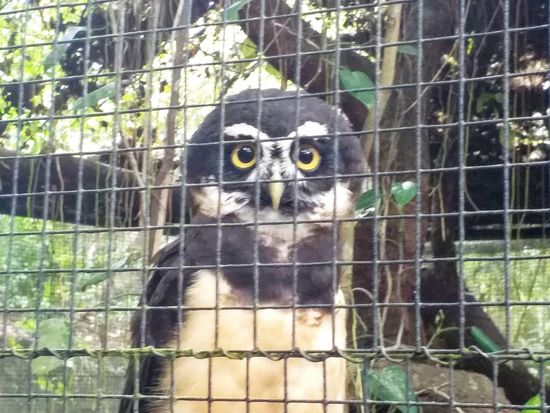 20200710094257_896554002_14092_0