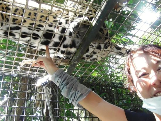 ベリーズ動物園日帰り観光ツアー＜日本語または英語ガイド／ベリーズシティ発＞