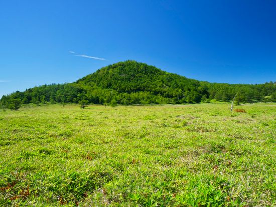 Nagano_Ikenodaira Wetlands_pixta_44116450.jpg