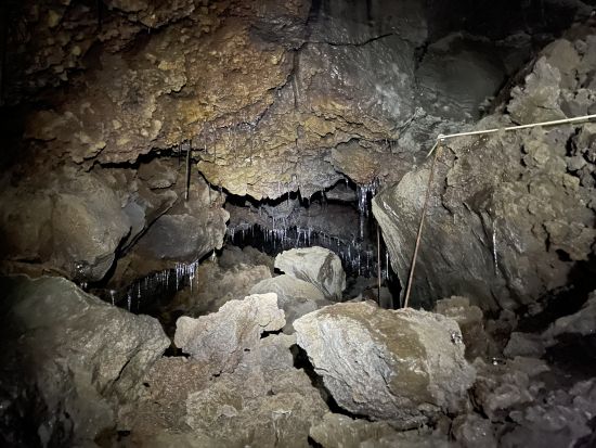 青木ヶ原樹海半日トレッキングツアー 神秘の樹海散策とありのままの自然が残る溶岩洞窟探検で氷柱見学＜午前・午後／富士河口湖町＞