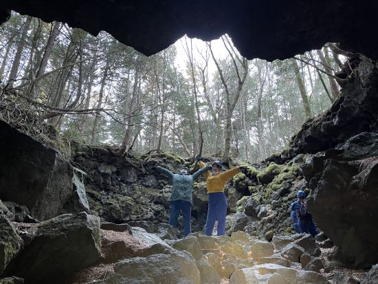 青木ヶ原樹海半日トレッキングツアー 神秘の樹海散策とありのままの自然が残る溶岩洞窟探検で氷柱見学＜午前・午後／富士河口湖町＞