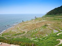 pixta_41892505_M
