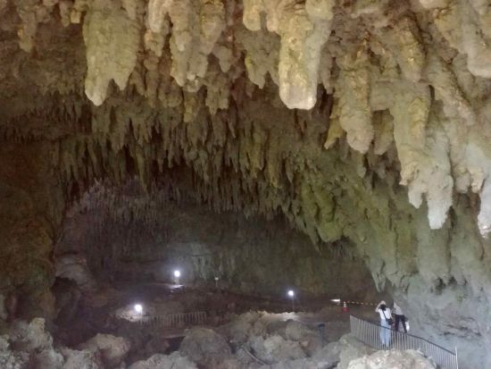 沖永良部島サイクリングツアー　屋子母海岸＋昇竜洞＋芭蕉布工房＋タラソおきのえらぶ　自転車で島を縦断しながら見どころを満喫＜昼食付／沖永良部島＞
