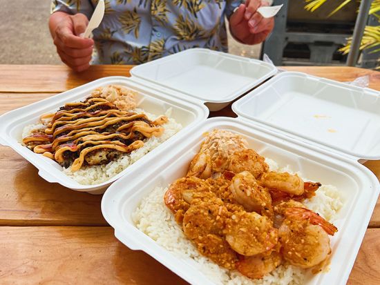 オアフ島1日観光　ダイヤモンドヘッドハイキングとハロナ潮吹き岩、トロピカルファーム訪問　クアロア・リージョナルパークやハレイワタウン散策付き！＜1日／日本語＞