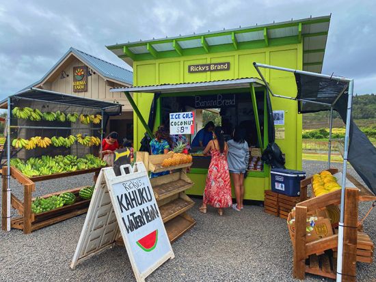 オアフ島1日観光　ダイヤモンドヘッドハイキングとハロナ潮吹き岩、トロピカルファーム訪問　クアロア・リージョナルパークやハレイワタウン散策付き！＜1日／日本語＞