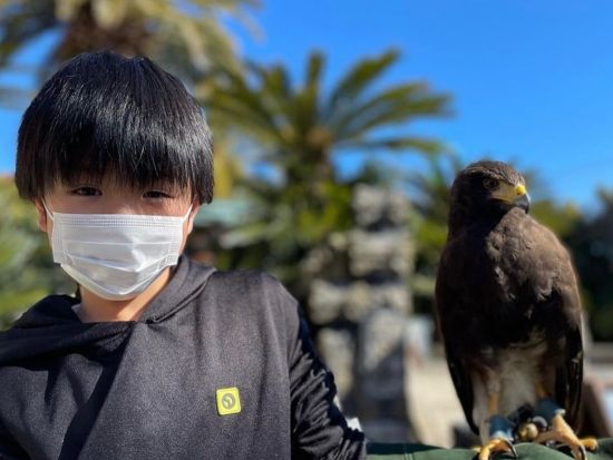 パラグライダー タンデムフライト体験　伊豆の大空をフライトで満喫！＜選べる開始時間＞