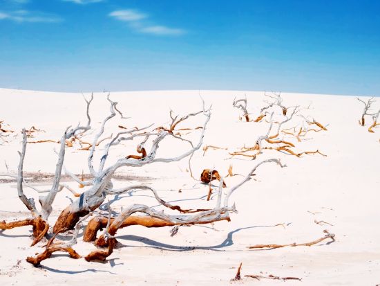 レンソイス・マラニャンセス国立公園 *アズール湖～ボニータ湖間のトレッキングツアー＜終日／貸切／日本語ガイド／バヘリーニャス発／夕日観賞付き＞