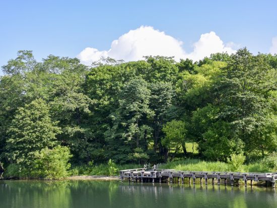 阿寒湖 モーターボート 風を切って湖面をかけぬける 選べる4コース！マリモ観覧ができるコースもご用意＜10～45分／5～11月／阿寒町＞by阿寒観光汽船